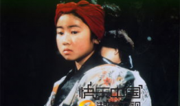 阿信电视剧,逆境中的坚韧与成长